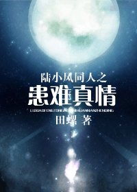 (陆小凤同人)陆小凤同人之患难真情