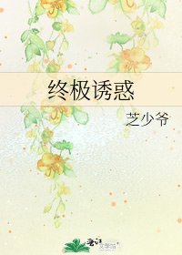 终极诱惑
