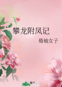 攀龙附凤记
